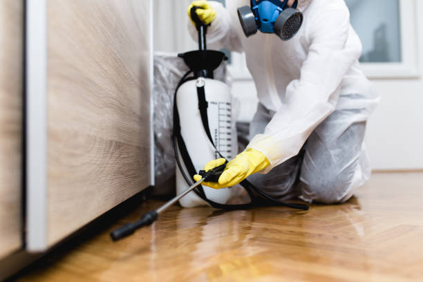Best Best Pest Control Companies  in Quanah, TX