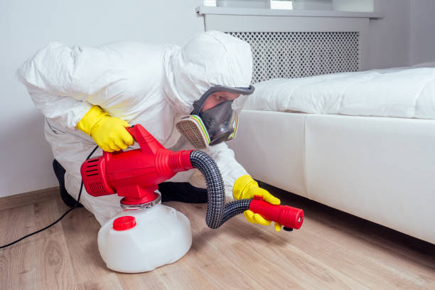 Best Wildlife Control Services  in Quanah, TX