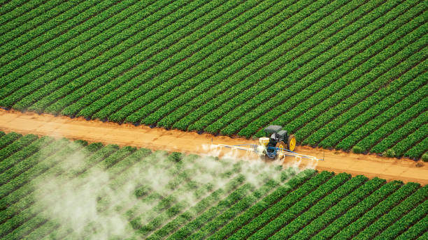 Best Mosquito Control Services  in Quanah, TX