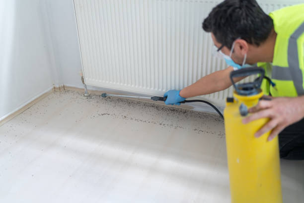 Best Bed Bug Extermination  in Quanah, TX